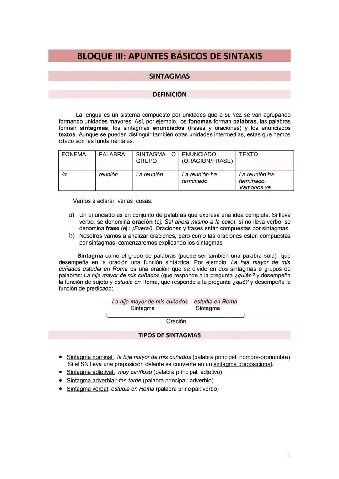 Estructura y funciones del sintagma nominal 