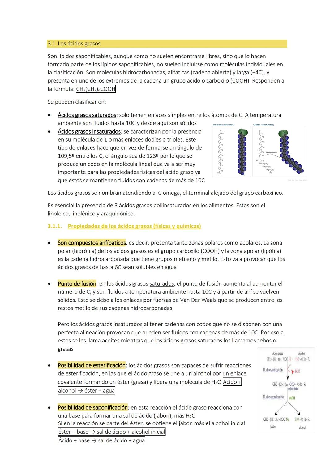 Tema 3:
1. CARACTERÍSTICAS GENERALES
LOS LÍPIDOS
Son biomoléculas orgánicas con funciones más amplias que las de los glúcidos. Están formado