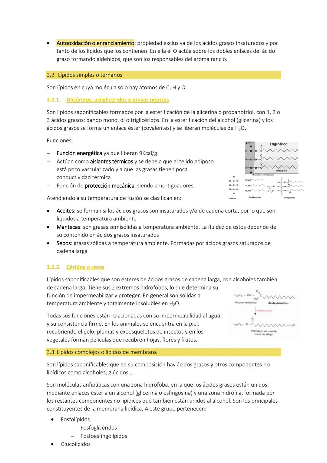 Tema 3:
1. CARACTERÍSTICAS GENERALES
LOS LÍPIDOS
Son biomoléculas orgánicas con funciones más amplias que las de los glúcidos. Están formado