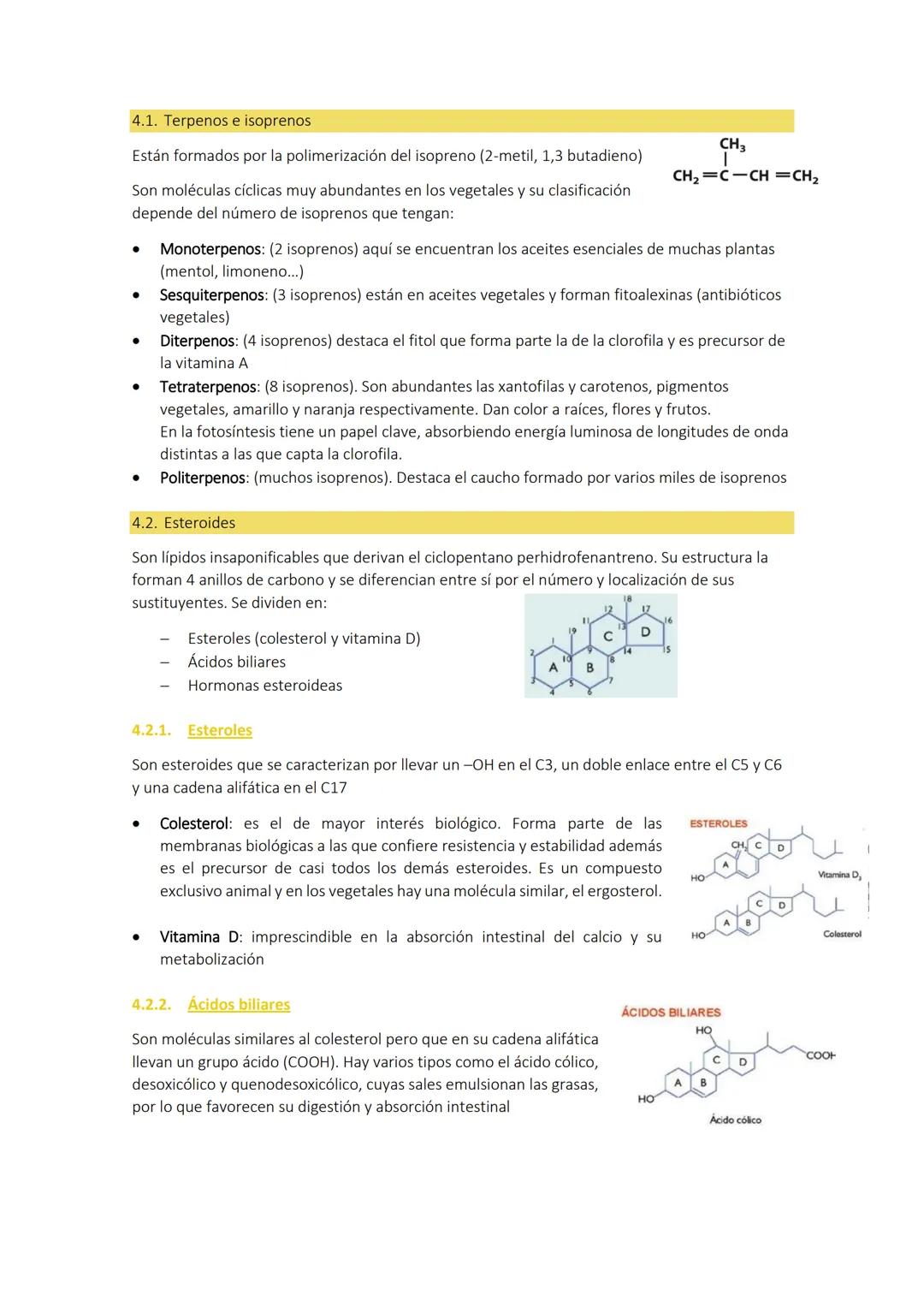 Tema 3:
1. CARACTERÍSTICAS GENERALES
LOS LÍPIDOS
Son biomoléculas orgánicas con funciones más amplias que las de los glúcidos. Están formado