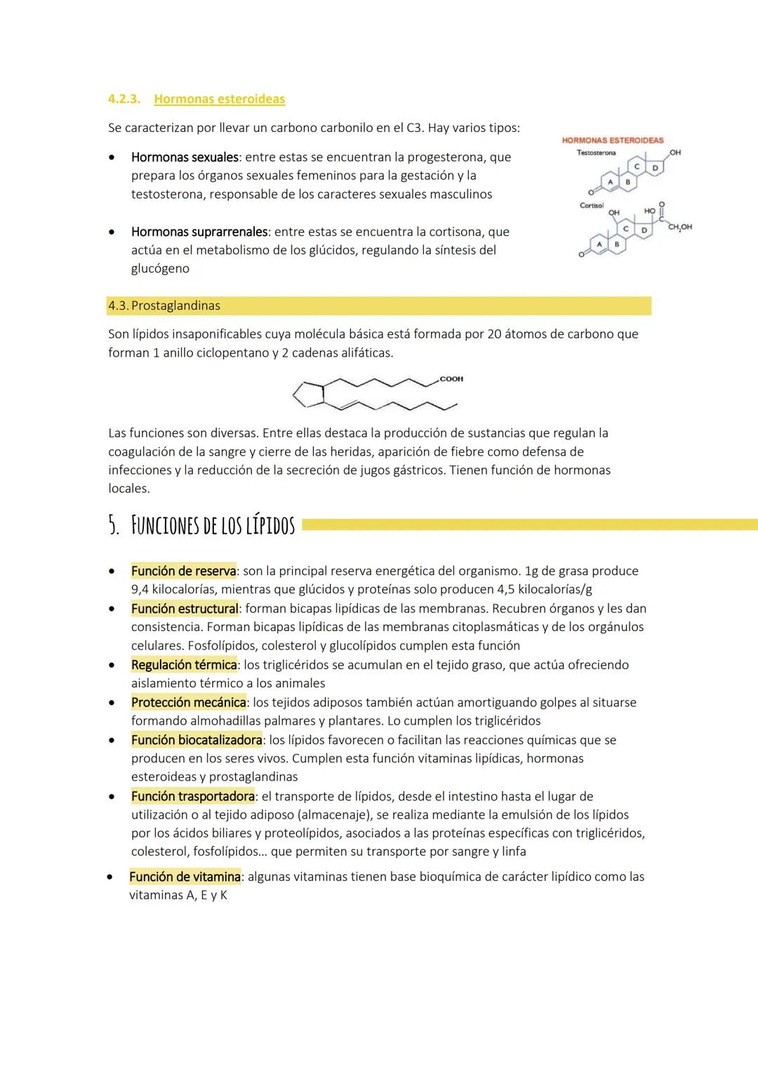 Tema 3:
1. CARACTERÍSTICAS GENERALES
LOS LÍPIDOS
Son biomoléculas orgánicas con funciones más amplias que las de los glúcidos. Están formado