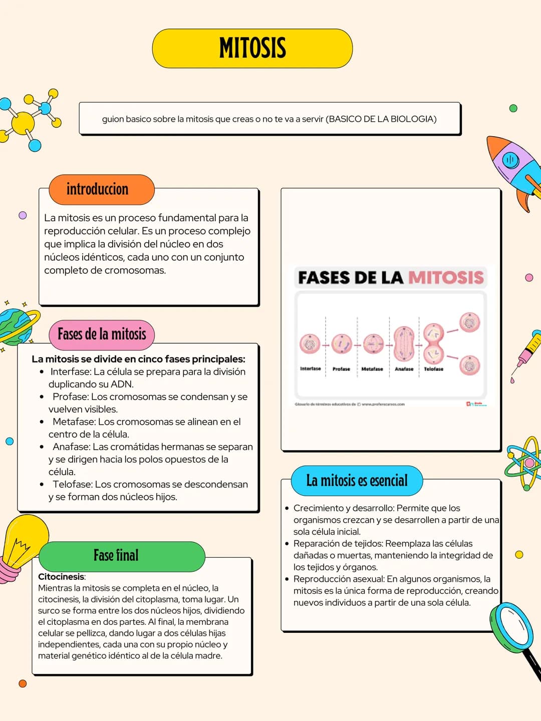 MITOSIS
guion basico sobre la mitosis que creas o no te va a servir (BASICO DE LA BIOLOGIA)
introduccion
La mitosis es un proceso fundamenta