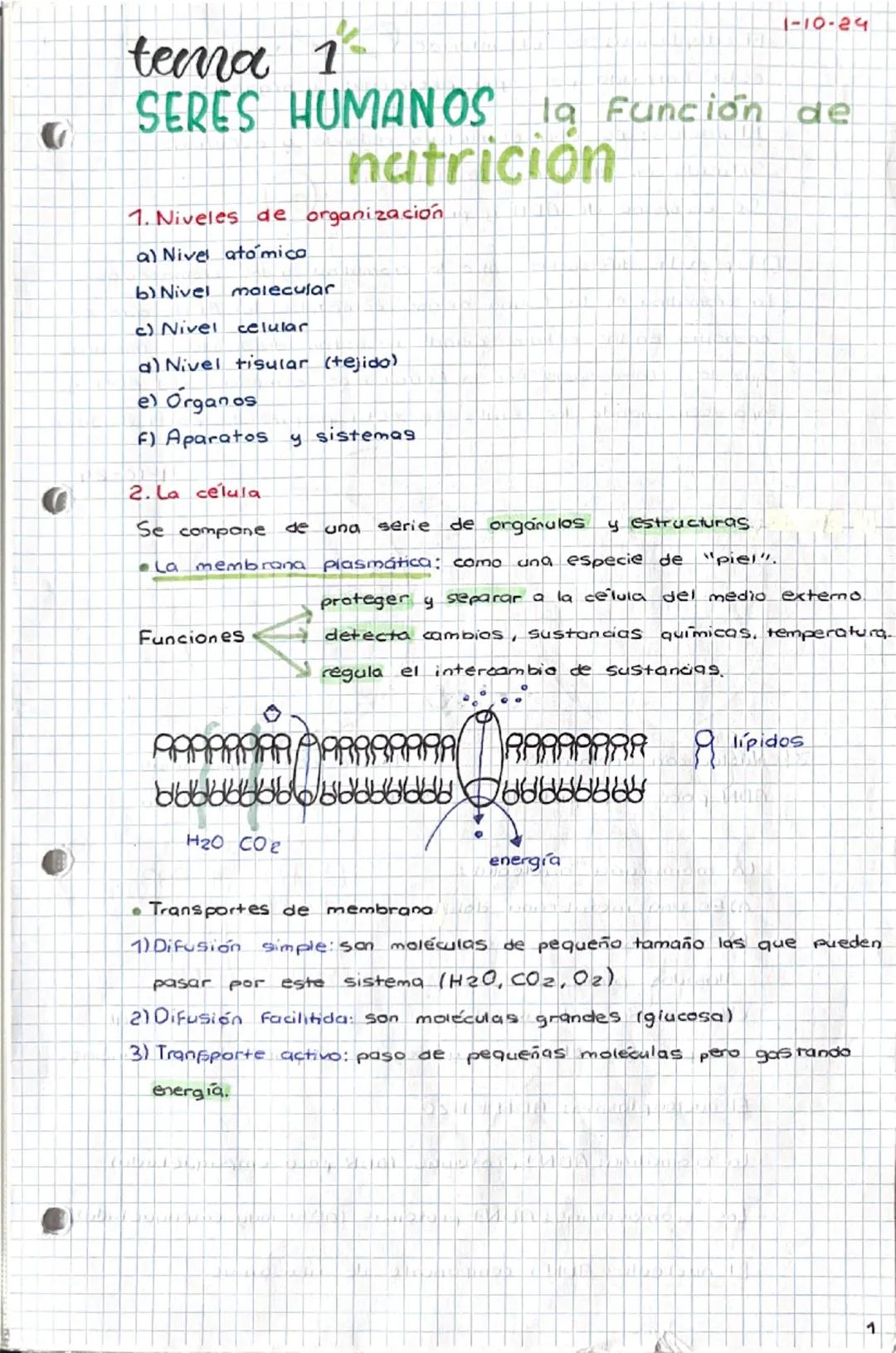 1-10-24
tema 1
SERES HUMANOS la Función de
nutrición
1. Niveles de organización
a) Nivel atómica
b) Nivel
molecular
c) Nivel celular
d) Nive