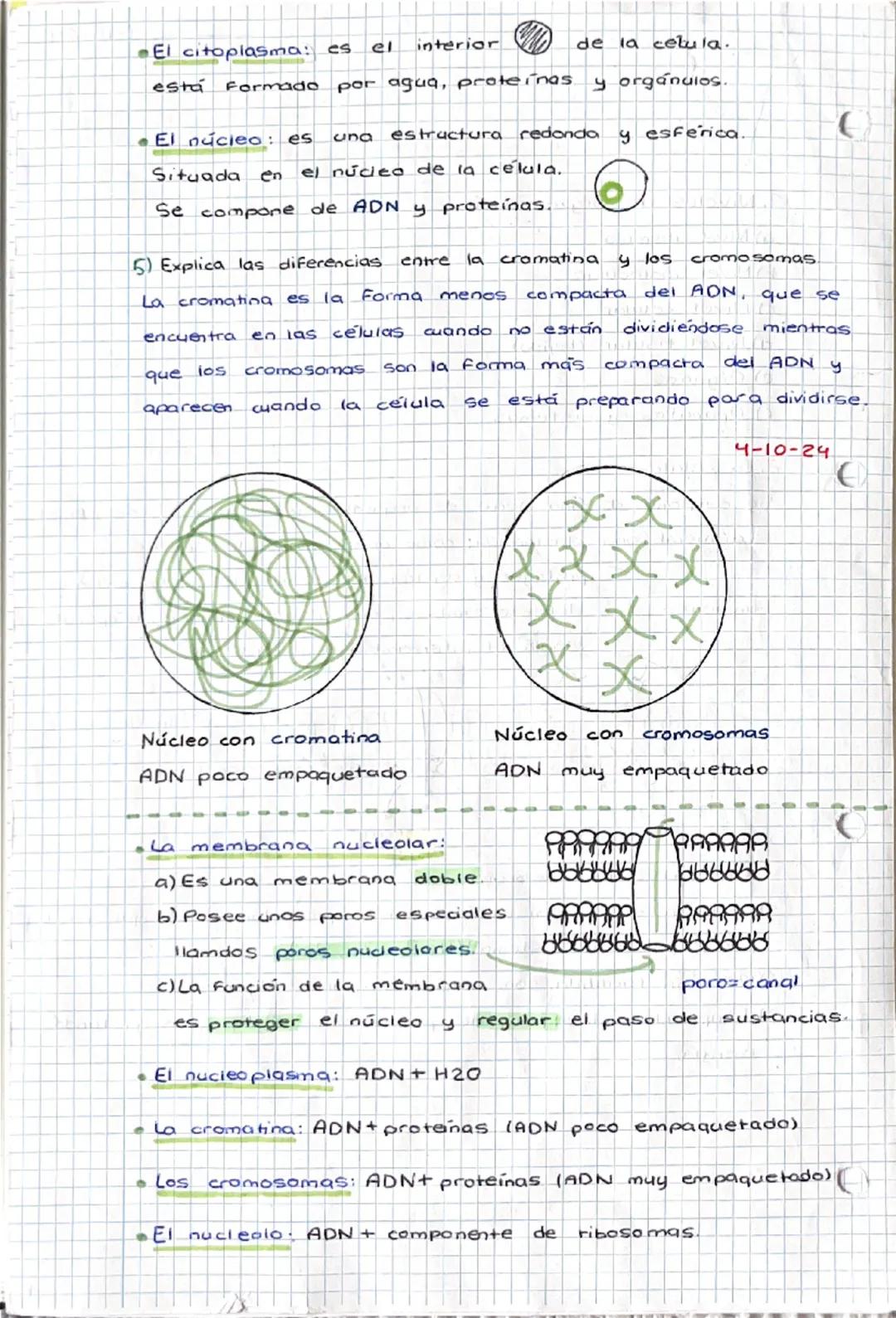 1-10-24
tema 1
SERES HUMANOS la Función de
nutrición
1. Niveles de organización
a) Nivel atómica
b) Nivel
molecular
c) Nivel celular
d) Nive