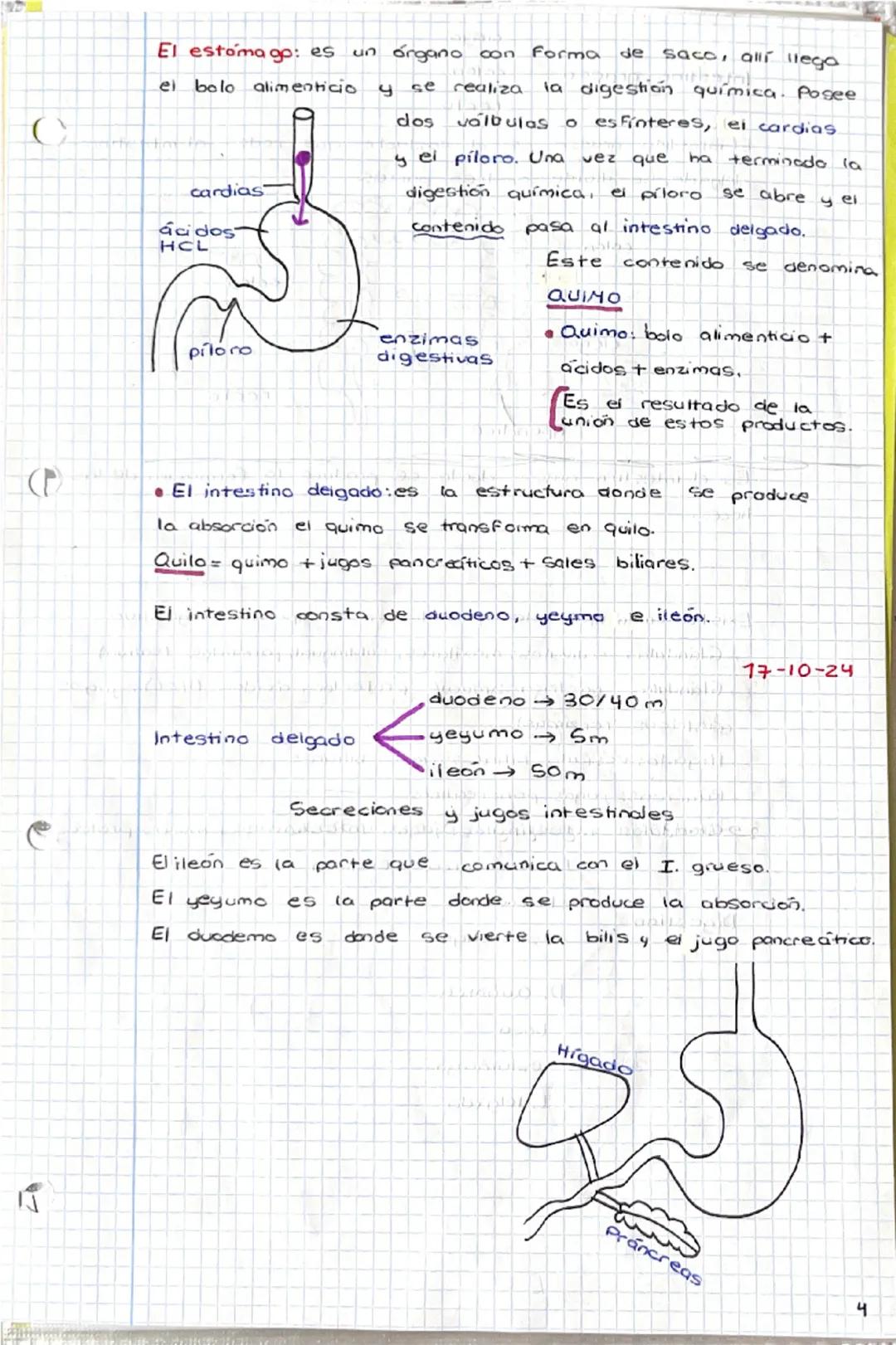 1-10-24
tema 1
SERES HUMANOS la Función de
nutrición
1. Niveles de organización
a) Nivel atómica
b) Nivel
molecular
c) Nivel celular
d) Nive