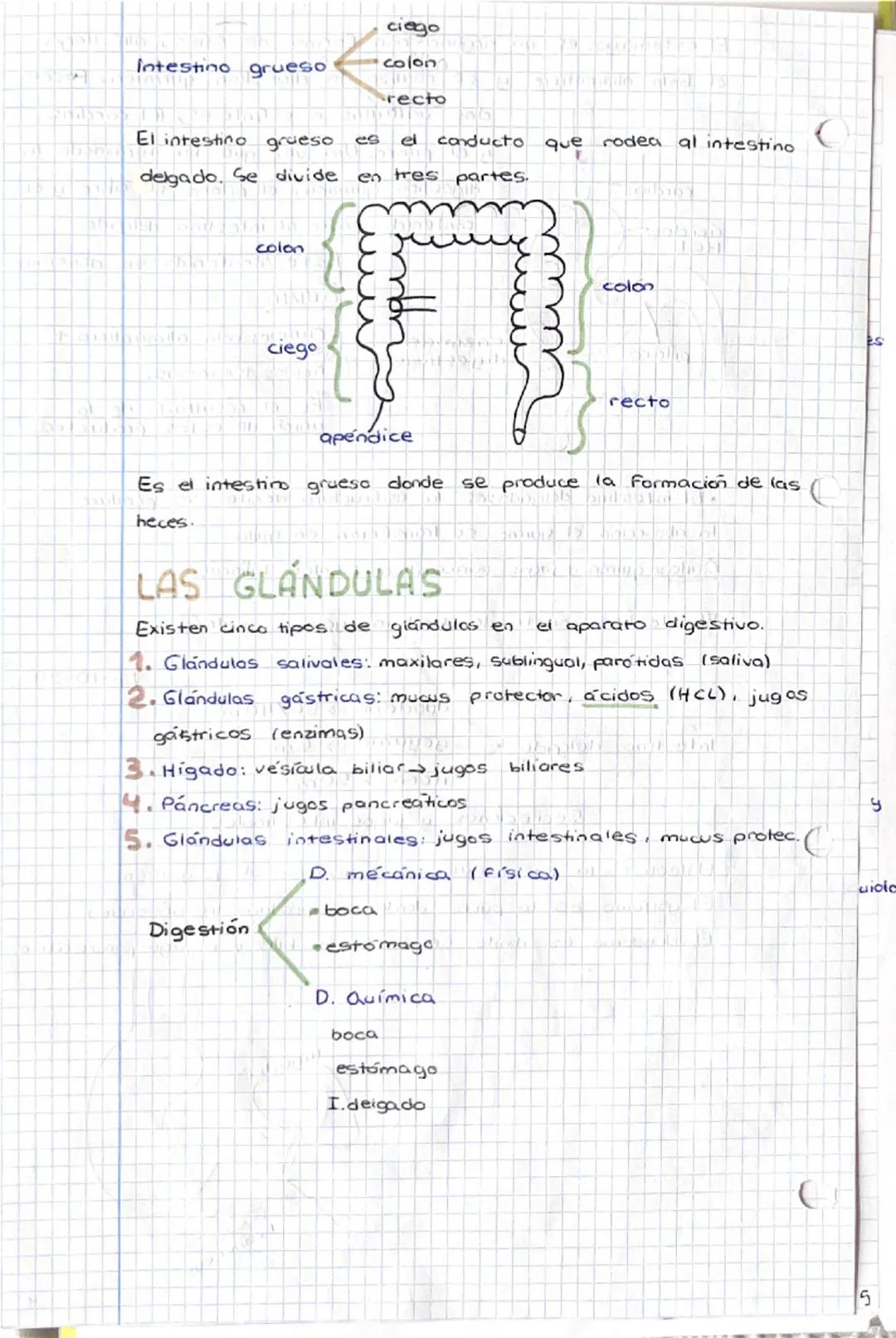 1-10-24
tema 1
SERES HUMANOS la Función de
nutrición
1. Niveles de organización
a) Nivel atómica
b) Nivel
molecular
c) Nivel celular
d) Nive