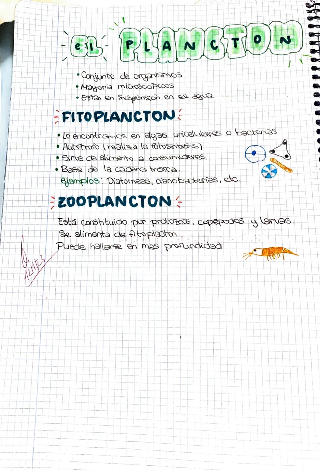 ●
Seres vivos de vida acuática
• Auto rofos (realizan la fotosintesis)
· Gran variedad de tamaños
●
LAS ALGAS
NUCLEO
Uni-pluricelulares
Cuen