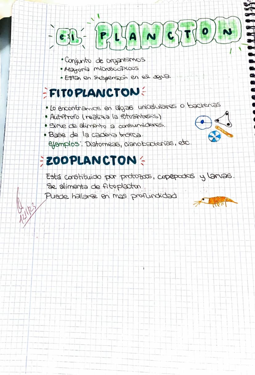 ●
Seres vivos de vida acuática
• Auto rofos (realizan la fotosintesis)
· Gran variedad de tamaños
●
LAS ALGAS
NUCLEO
Uni-pluricelulares
Cuen
