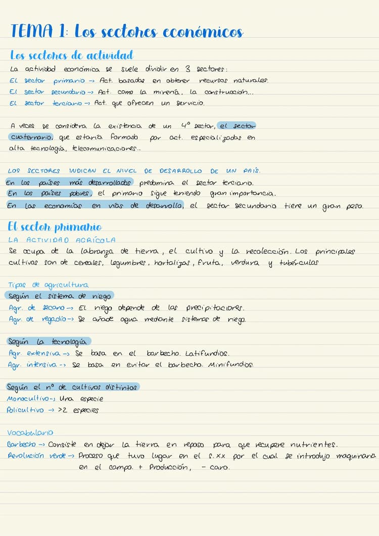Know Sectores y actividades económicas  thumbnail