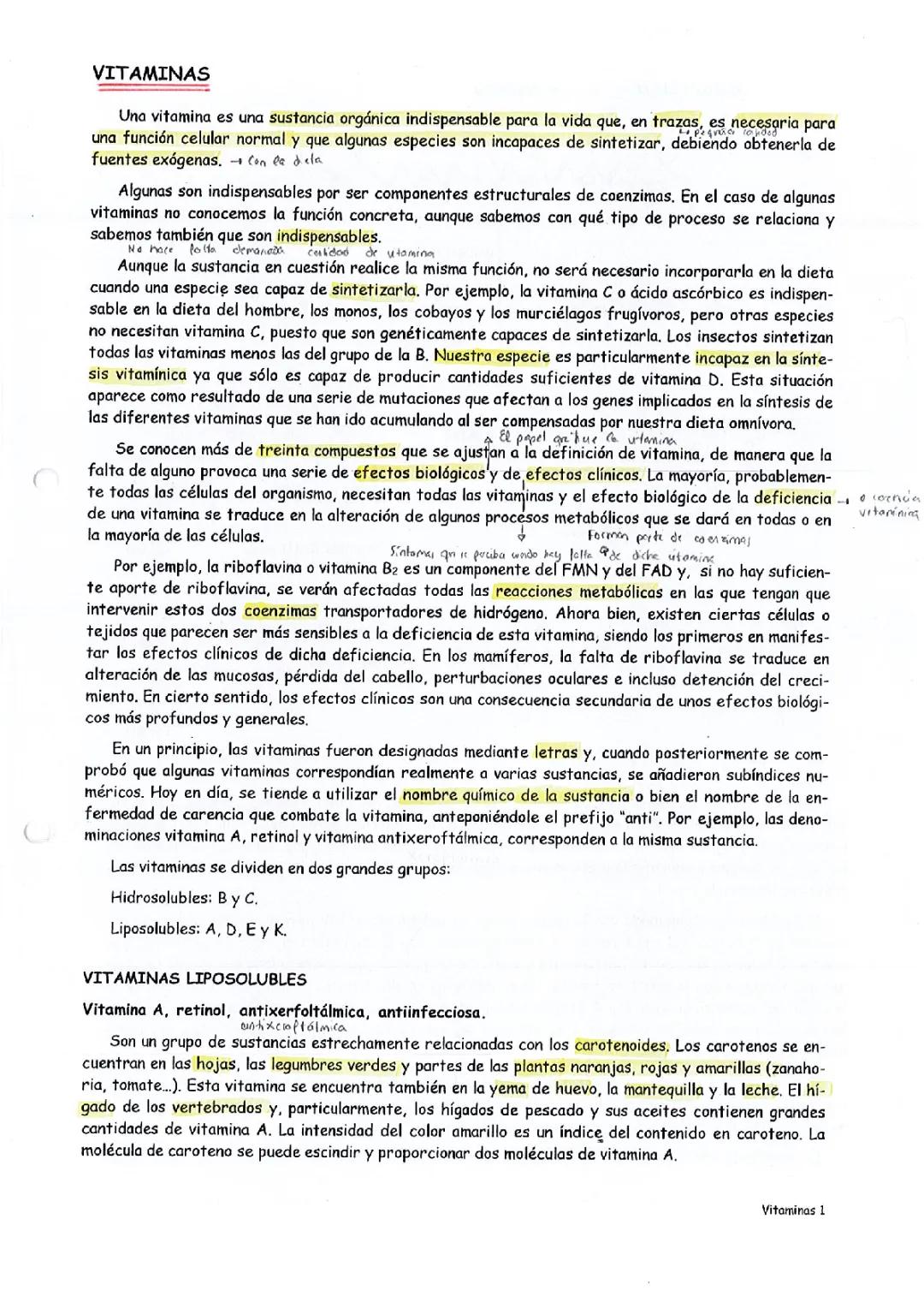 Guía Completa sobre Vitaminas: Importancia y Beneficios