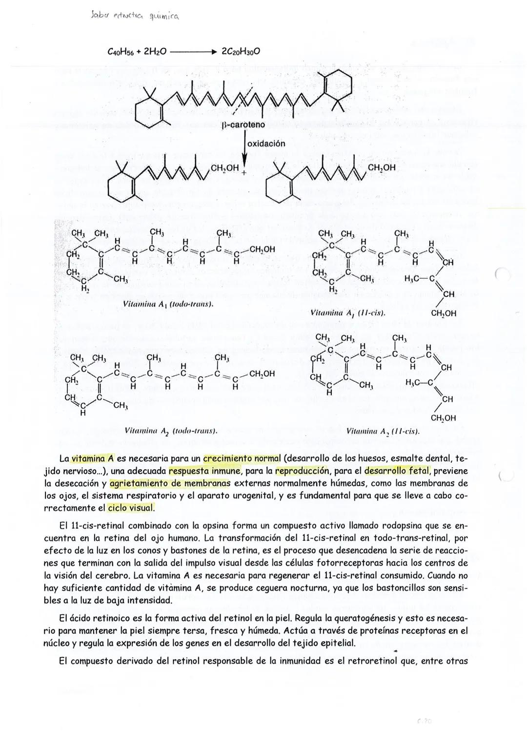 C
VITAMINAS
4 peqrice randed
Una vitamina es una sustancia orgánica indispensable para la vida que, en trazas, es necesaria para
una función