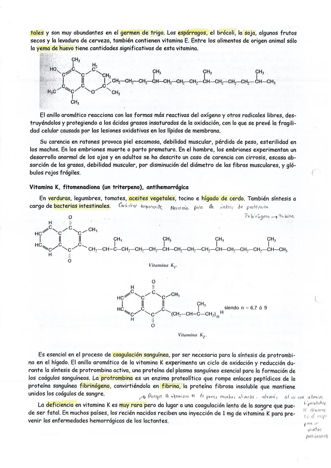 C
VITAMINAS
4 peqrice randed
Una vitamina es una sustancia orgánica indispensable para la vida que, en trazas, es necesaria para
una función