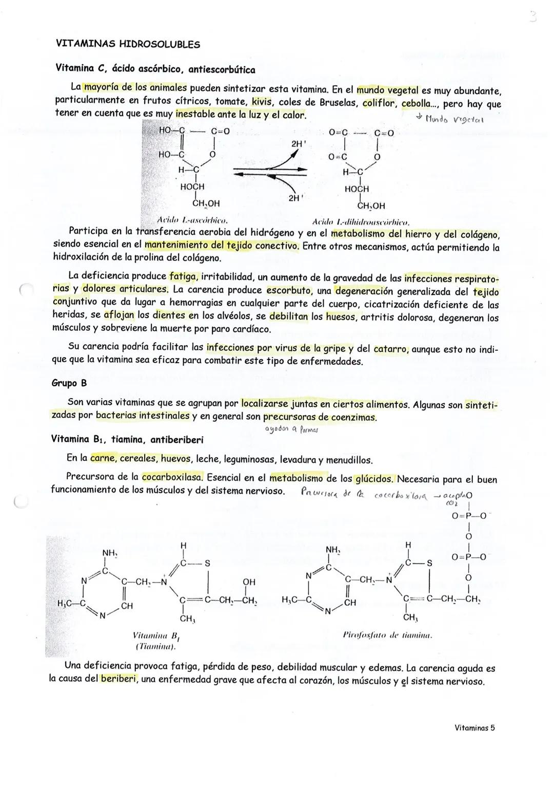C
VITAMINAS
4 peqrice randed
Una vitamina es una sustancia orgánica indispensable para la vida que, en trazas, es necesaria para
una función