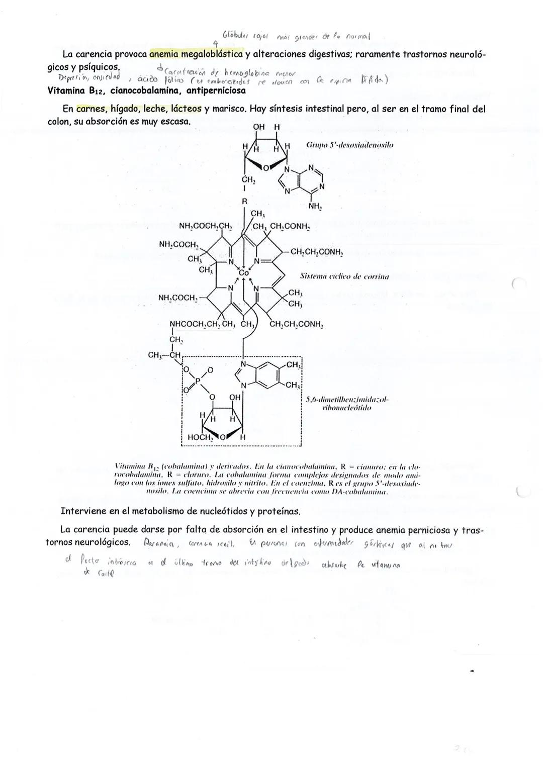 C
VITAMINAS
4 peqrice randed
Una vitamina es una sustancia orgánica indispensable para la vida que, en trazas, es necesaria para
una función