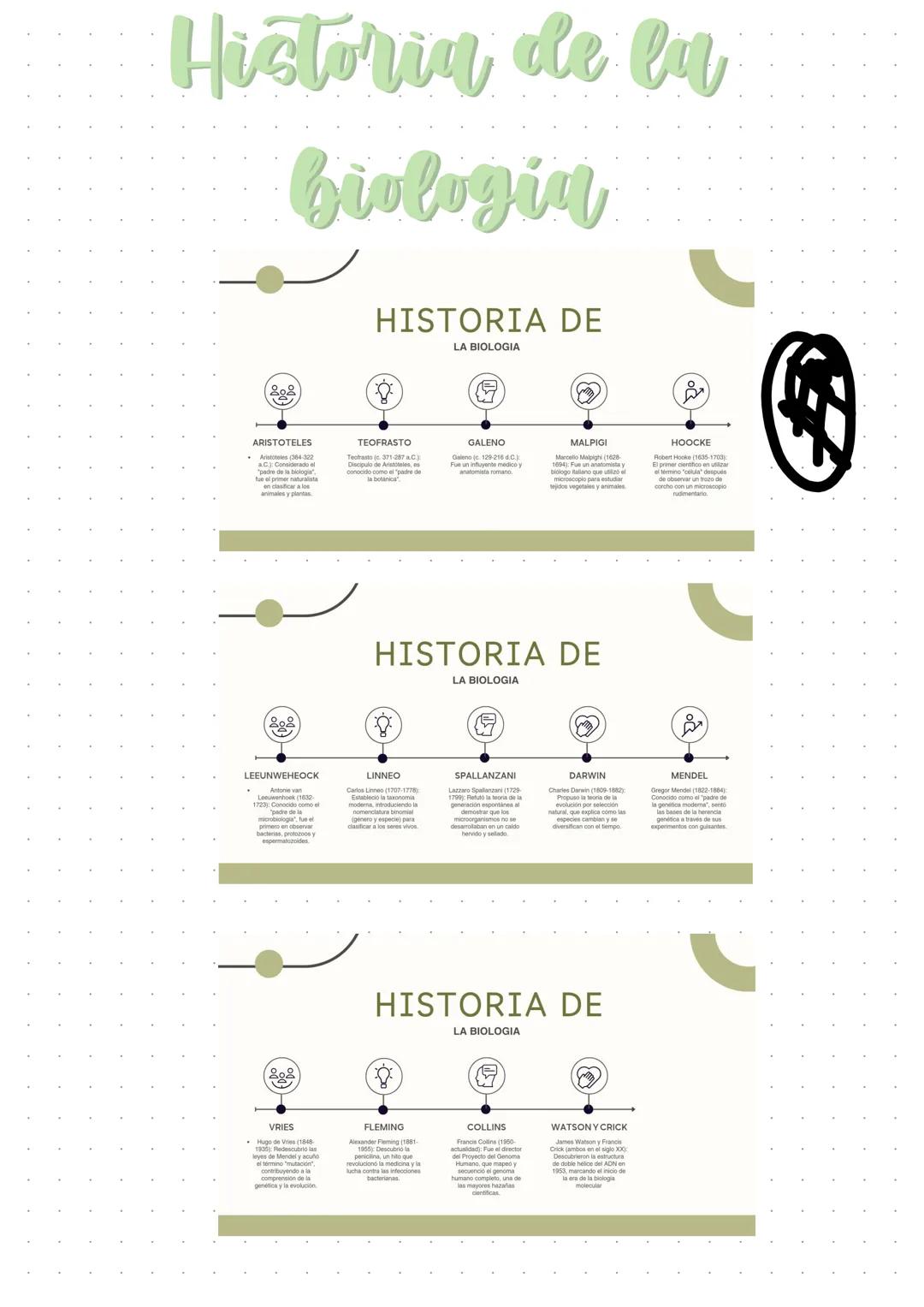 Campus
A4 8mm*21行 40頁
BUS
봄꽃행
Campus
۲۶
A4 YON
0 KOKUYO Sistemas Biológicos |
Clave: 1303
Profesora: Clizabeth Hernandez
Objetivo: Reconocer