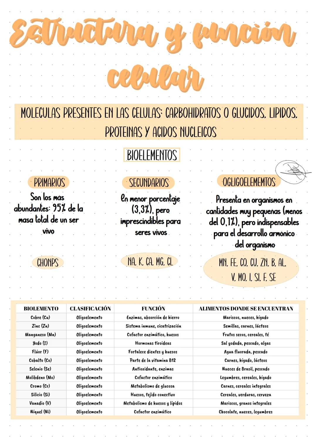 Campus
A4 8mm*21行 40頁
BUS
봄꽃행
Campus
۲۶
A4 YON
0 KOKUYO Sistemas Biológicos |
Clave: 1303
Profesora: Clizabeth Hernandez
Objetivo: Reconocer