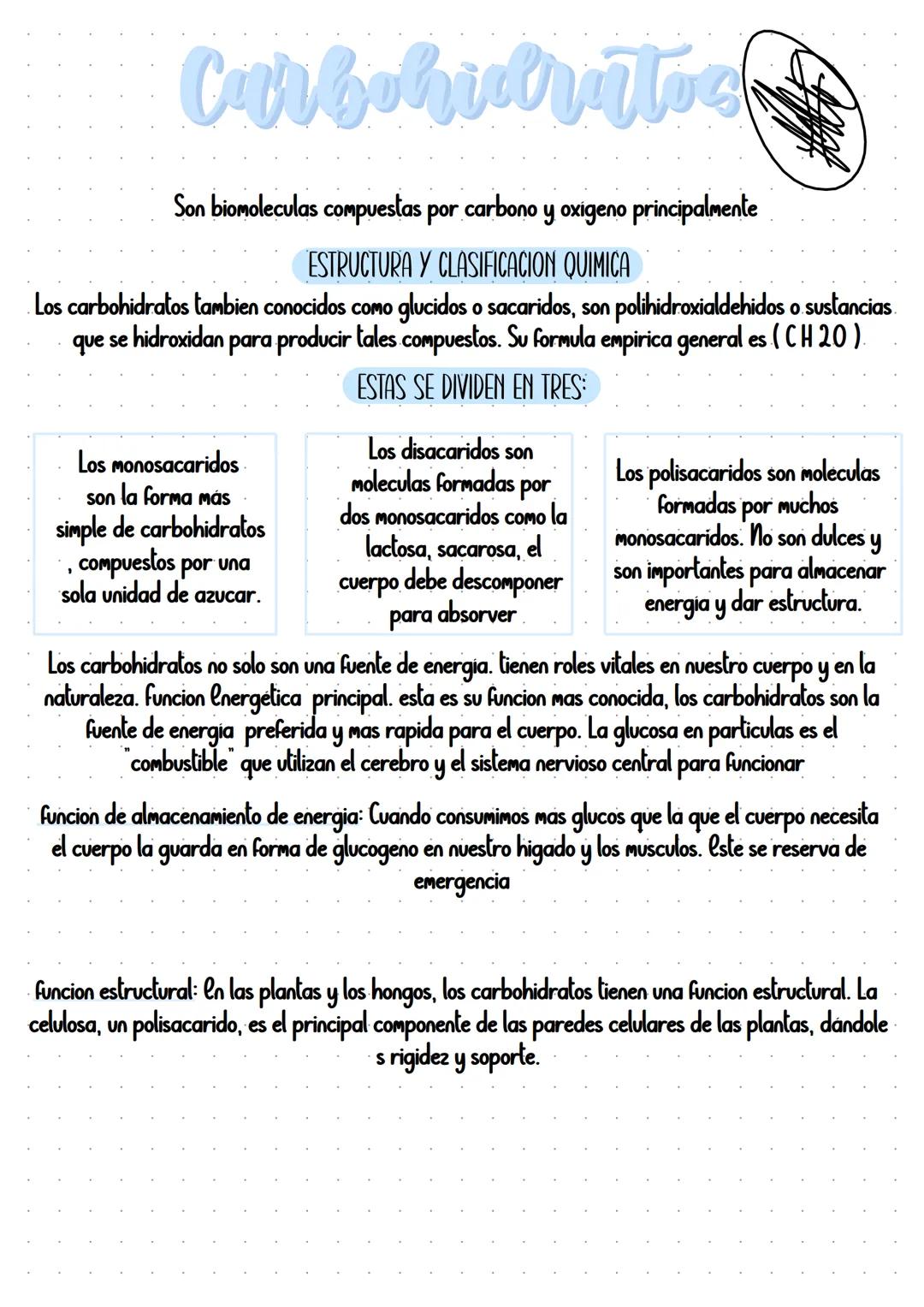 Campus
A4 8mm*21行 40頁
BUS
봄꽃행
Campus
۲۶
A4 YON
0 KOKUYO Sistemas Biológicos |
Clave: 1303
Profesora: Clizabeth Hernandez
Objetivo: Reconocer