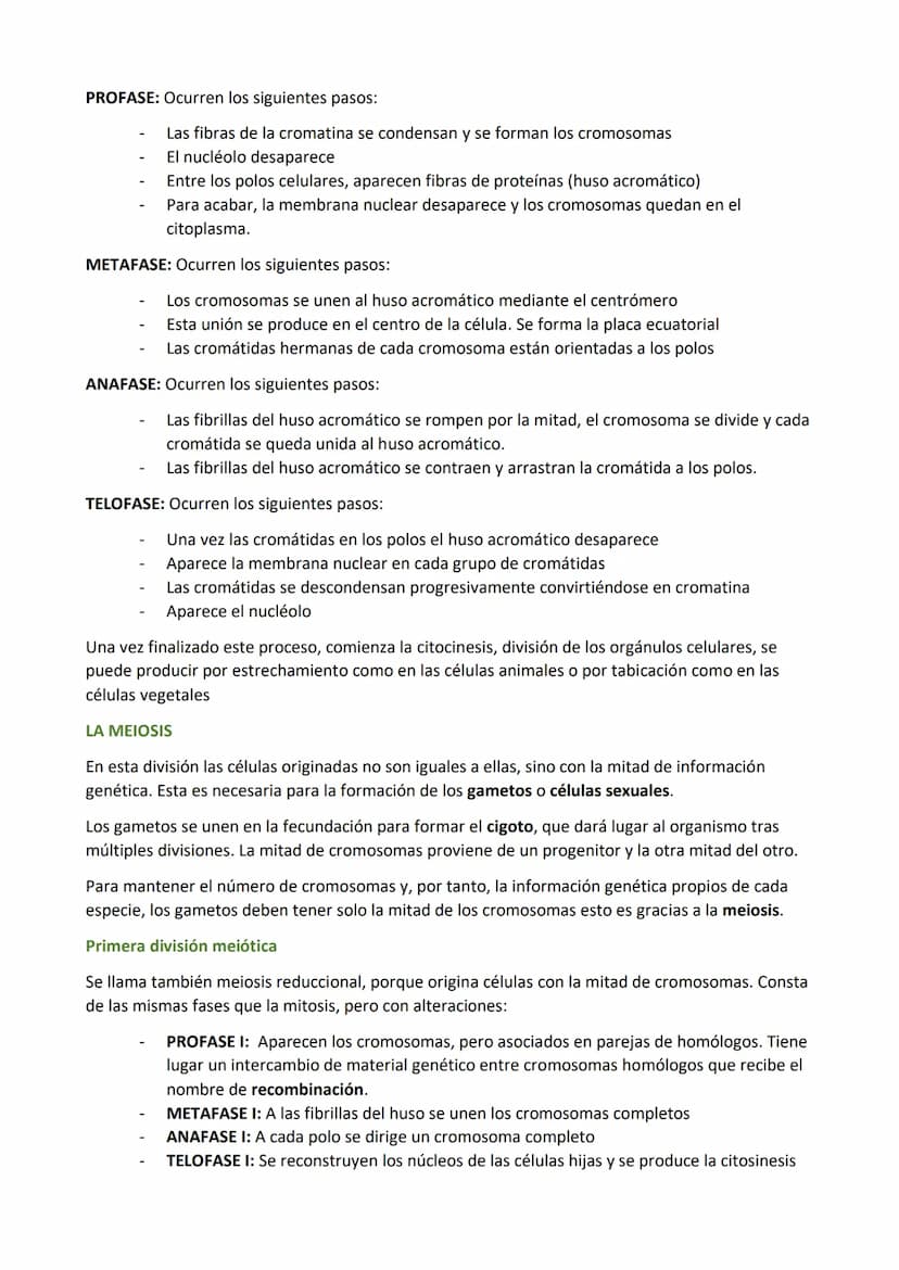 LA CÉLULAS
LA TEORIA CELULAR
Se resume en los siguientes aspectos:
Todos los seres vivos están formados por una o más células.
La célula es 