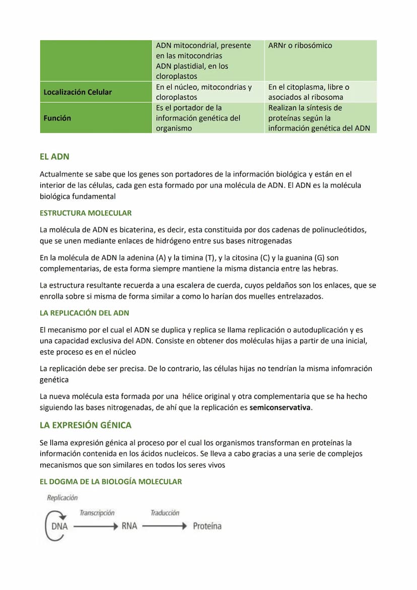 LA CÉLULAS
LA TEORIA CELULAR
Se resume en los siguientes aspectos:
Todos los seres vivos están formados por una o más células.
La célula es 