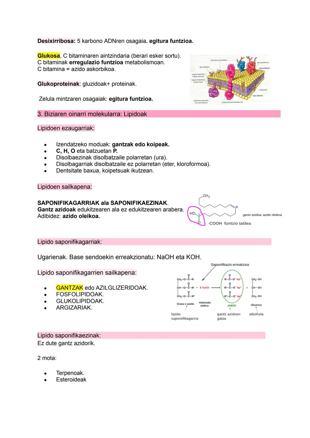 # BIOQUÍMICA

I

$NH_2$

HO

$N$
$H$ # 1. Biziaren oinarri molekularra:

Materiaren antolakuntza mailak:

1.  Maila subatomikoa (protoiak, n