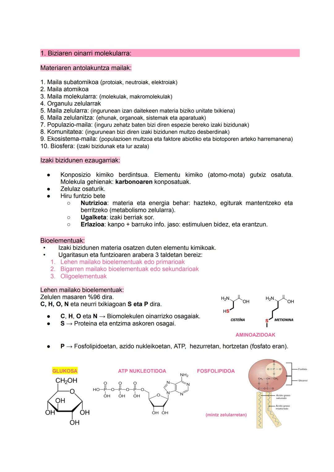 # BIOQUÍMICA

I

$NH_2$

HO

$N$
$H$ # 1. Biziaren oinarri molekularra:

Materiaren antolakuntza mailak:

1.  Maila subatomikoa (protoiak, n
