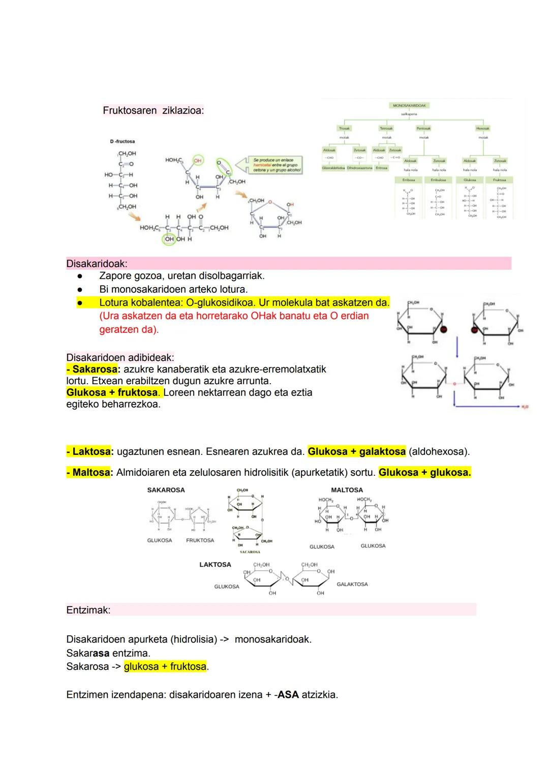 # BIOQUÍMICA

I

$NH_2$

HO

$N$
$H$ # 1. Biziaren oinarri molekularra:

Materiaren antolakuntza mailak:

1.  Maila subatomikoa (protoiak, n