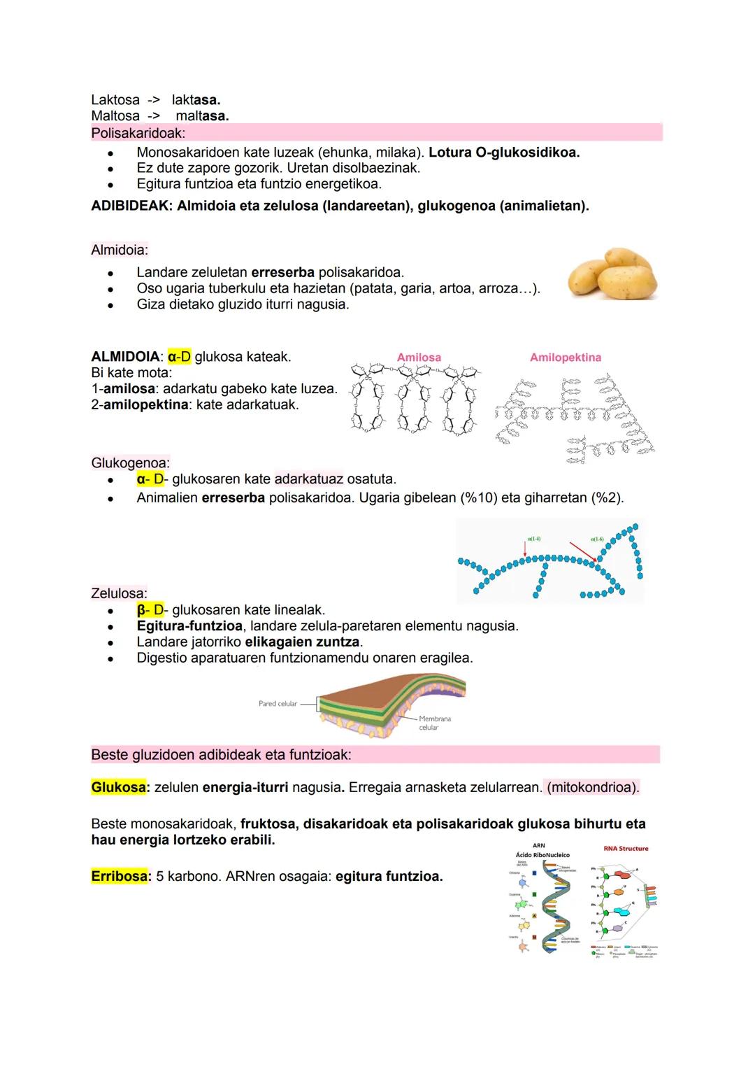 # BIOQUÍMICA

I

$NH_2$

HO

$N$
$H$ # 1. Biziaren oinarri molekularra:

Materiaren antolakuntza mailak:

1.  Maila subatomikoa (protoiak, n