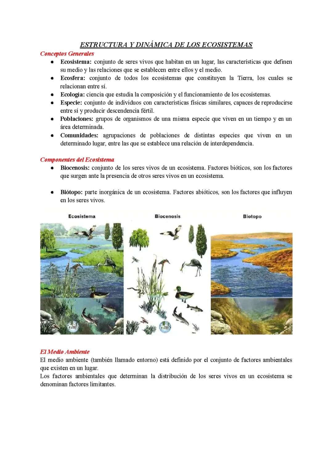 Los Ecosistemas
