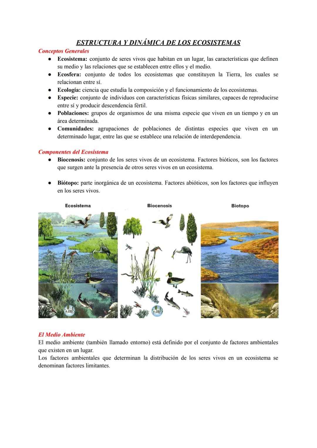 ESTRUCTURA Y DINÁMICA DE LOS ECOSISTEMAS
Conceptos Generales
Ecosistema: conjunto de seres vivos que habitan en un lugar, las característica
