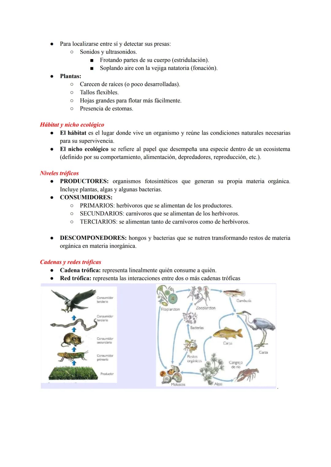 ESTRUCTURA Y DINÁMICA DE LOS ECOSISTEMAS
Conceptos Generales
Ecosistema: conjunto de seres vivos que habitan en un lugar, las característica