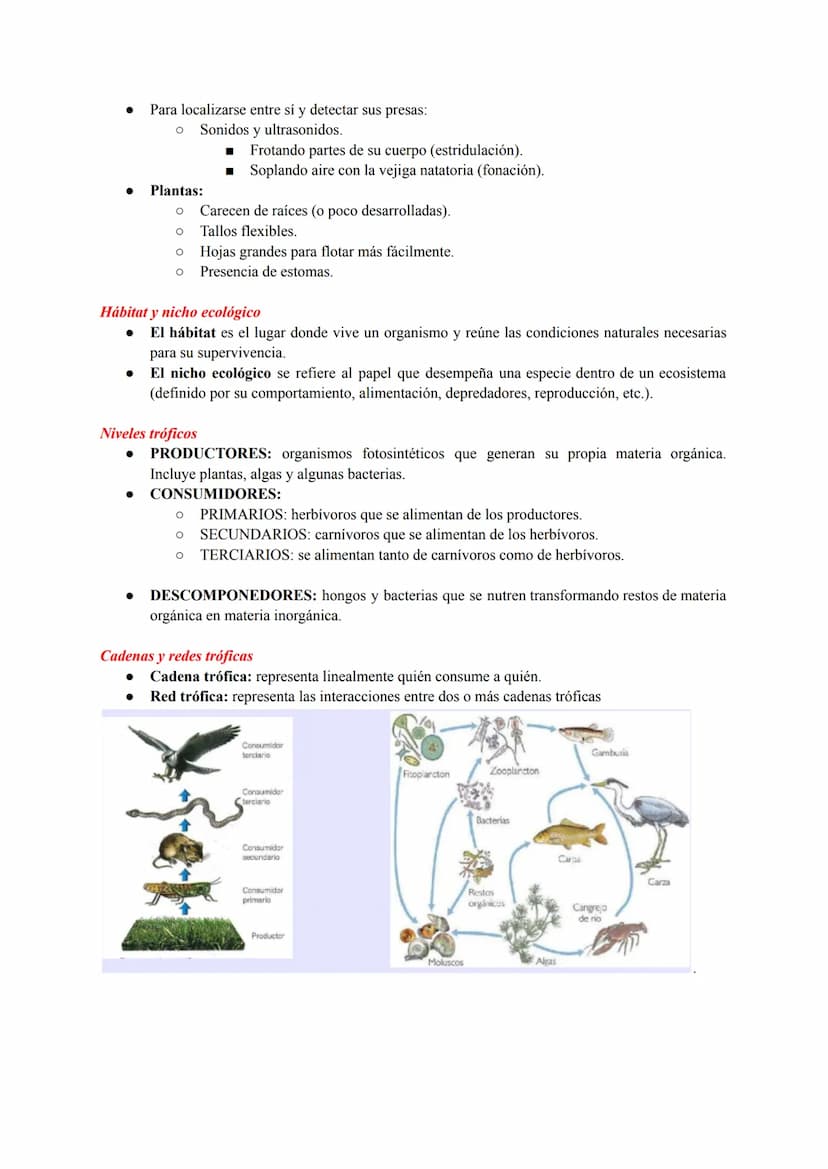 ESTRUCTURA Y DINÁMICA DE LOS ECOSISTEMAS
Conceptos Generales
Ecosistema: conjunto de seres vivos que habitan en un lugar, las característica