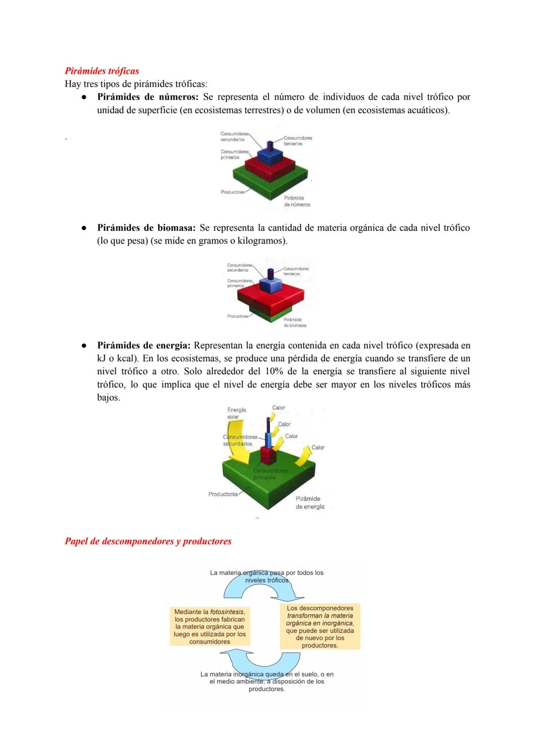ESTRUCTURA Y DINÁMICA DE LOS ECOSISTEMAS
Conceptos Generales
Ecosistema: conjunto de seres vivos que habitan en un lugar, las característica
