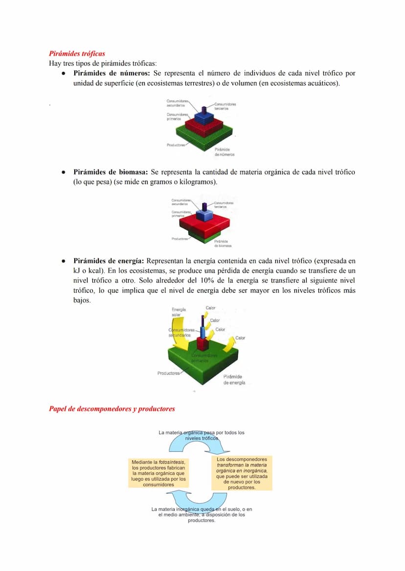 ESTRUCTURA Y DINÁMICA DE LOS ECOSISTEMAS
Conceptos Generales
Ecosistema: conjunto de seres vivos que habitan en un lugar, las característica