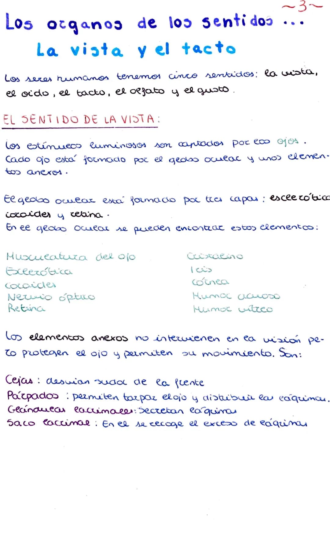 Los organos de los sentidos
La vista y el tacto
Los seres humanos tenemos cinco sentidos: la vista,
el oido, el tacto, el olfato y el gusto.