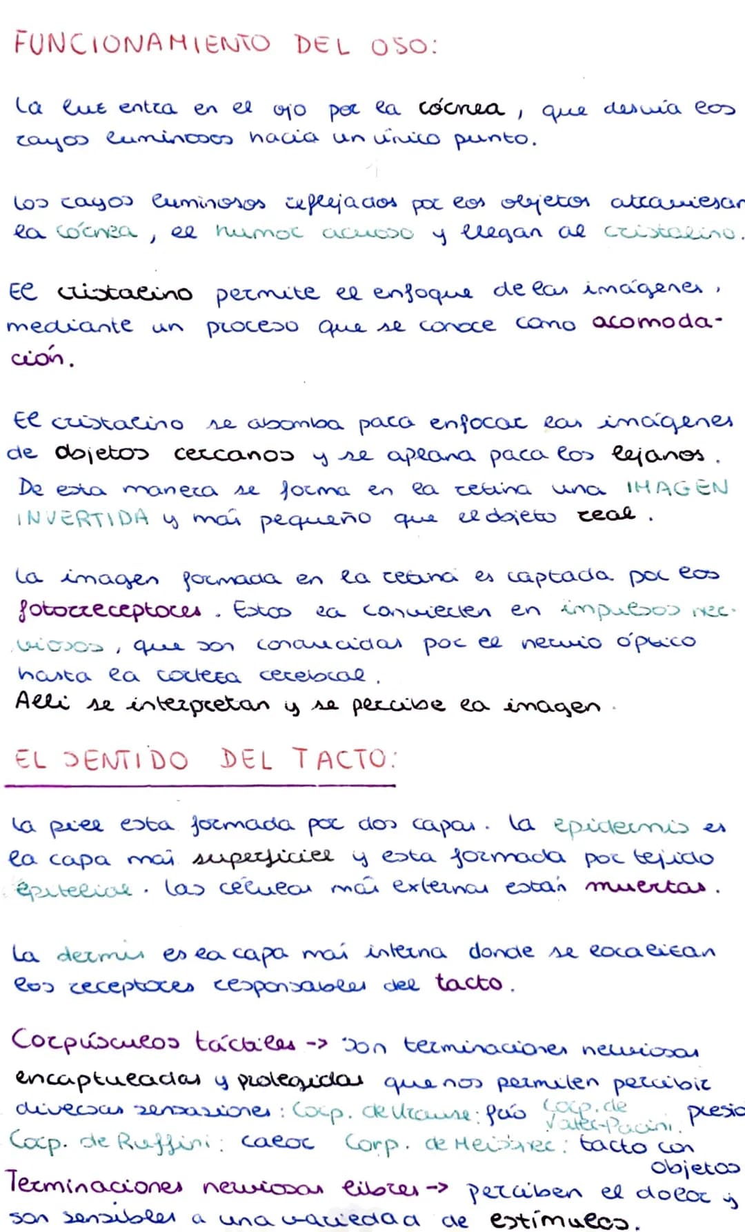 Los organos de los sentidos
La vista y el tacto
Los seres humanos tenemos cinco sentidos: la vista,
el oido, el tacto, el olfato y el gusto.