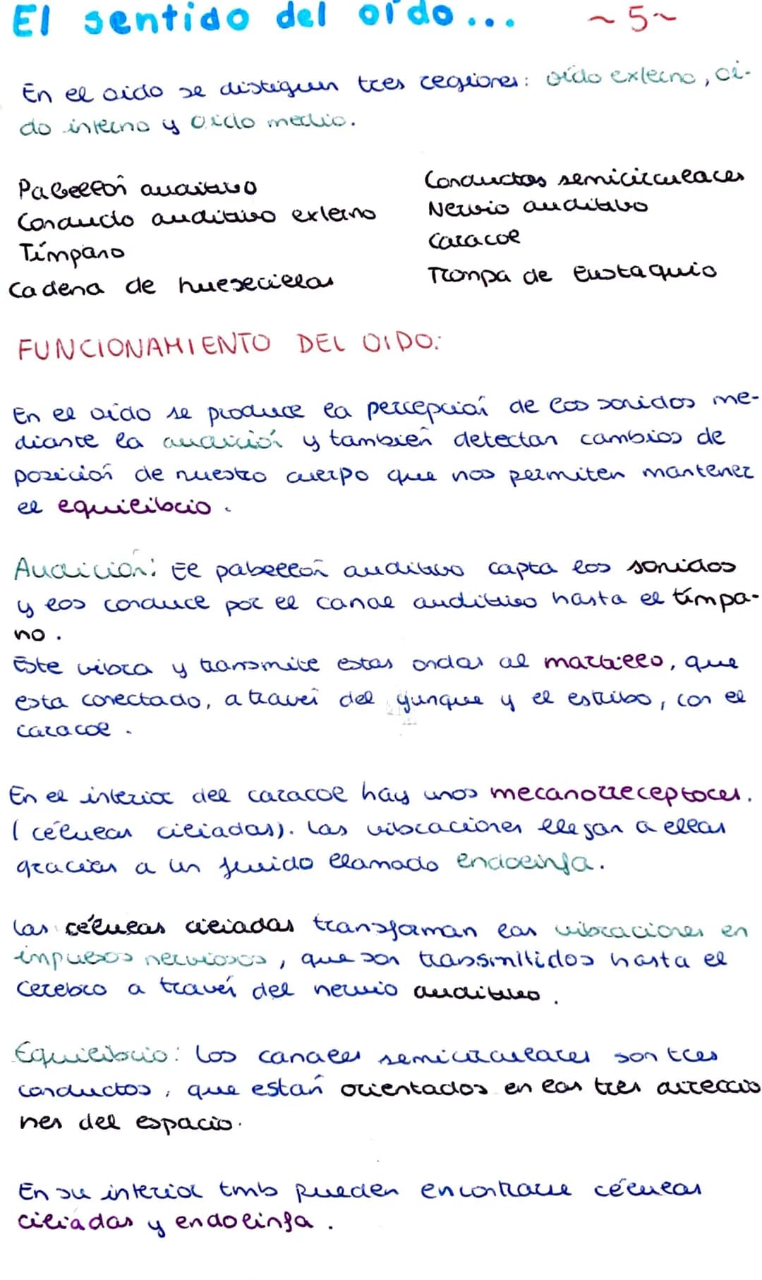 Los organos de los sentidos
La vista y el tacto
Los seres humanos tenemos cinco sentidos: la vista,
el oido, el tacto, el olfato y el gusto.