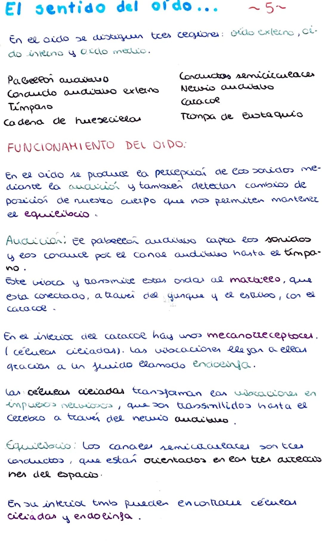 Los organos de los sentidos
La vista y el tacto
Los seres humanos tenemos cinco sentidos: la vista,
el oido, el tacto, el olfato y el gusto.