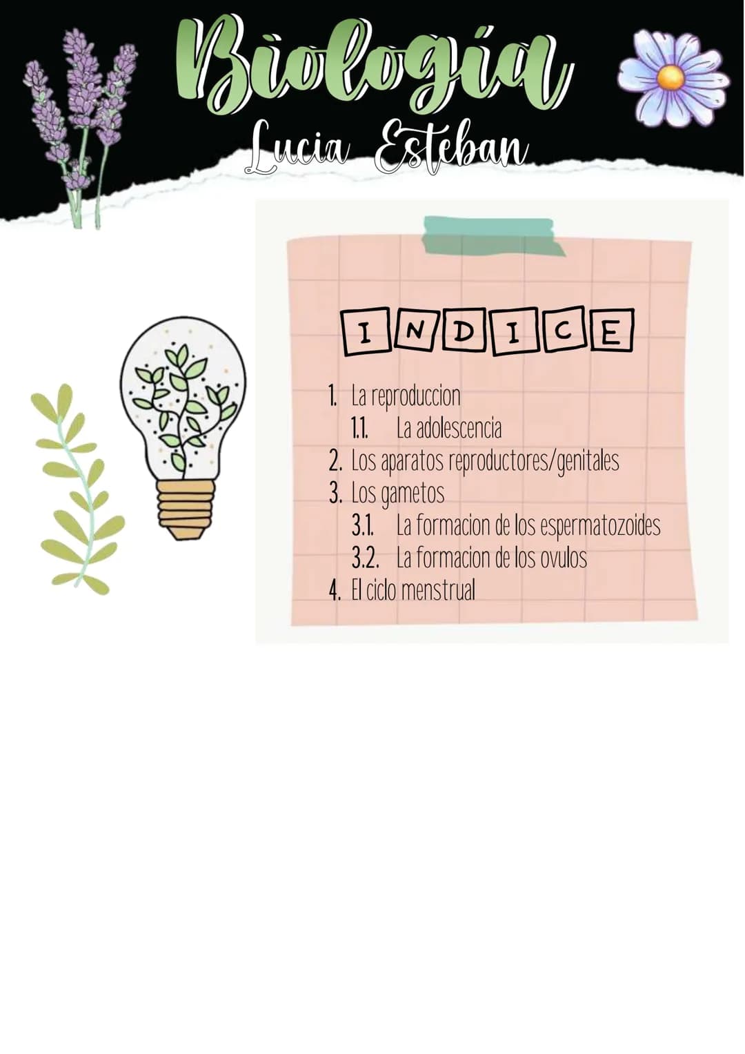 Biología
Lucia Esteban
INDICE
1. La reproduccion
1.1. La adolescencia
2. Los aparatos reproductores/genitales
3. Los gametos
3.1. La formaci