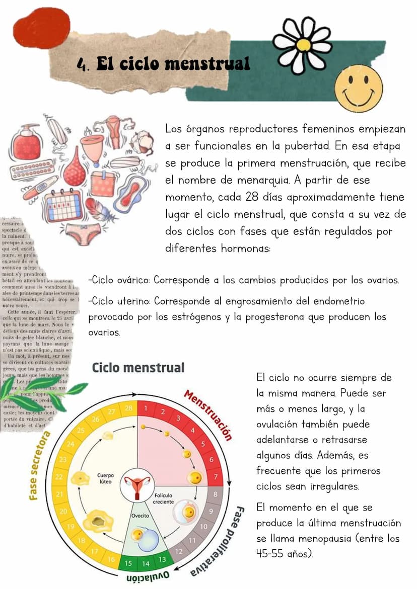 Biología
Lucia Esteban
INDICE
1. La reproduccion
1.1. La adolescencia
2. Los aparatos reproductores/genitales
3. Los gametos
3.1. La formaci