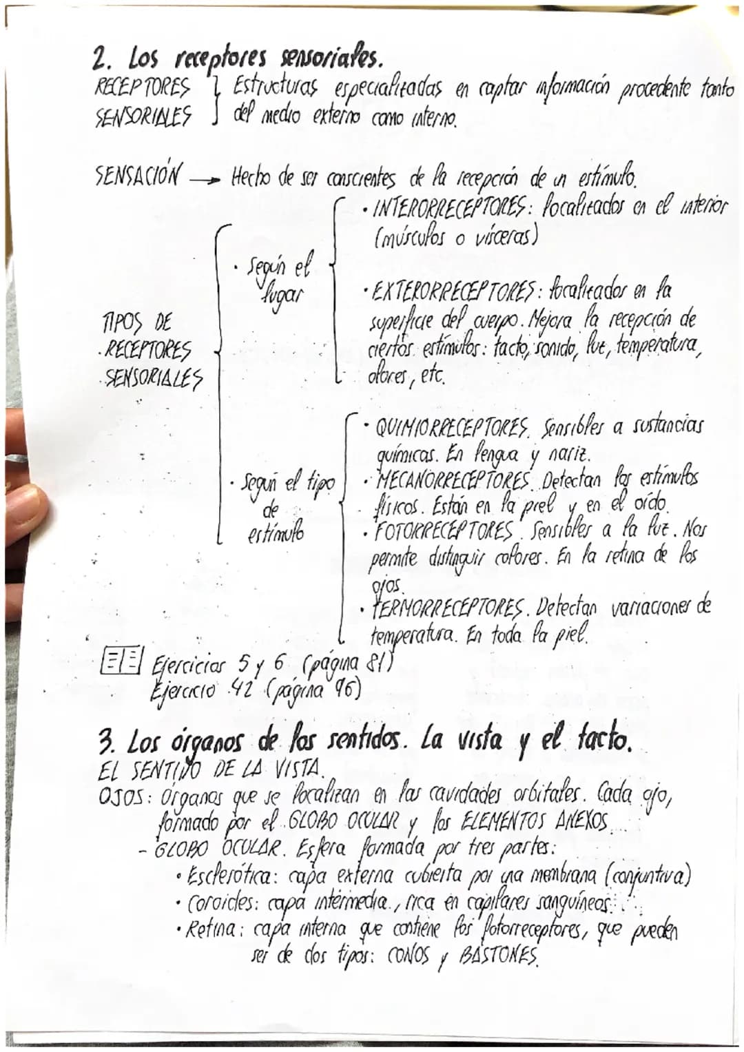
<p>Los estímulos son las señales que recibe nuestro cuerpo debido a cambios que provienen tanto del interior como del exterior de nuestro c