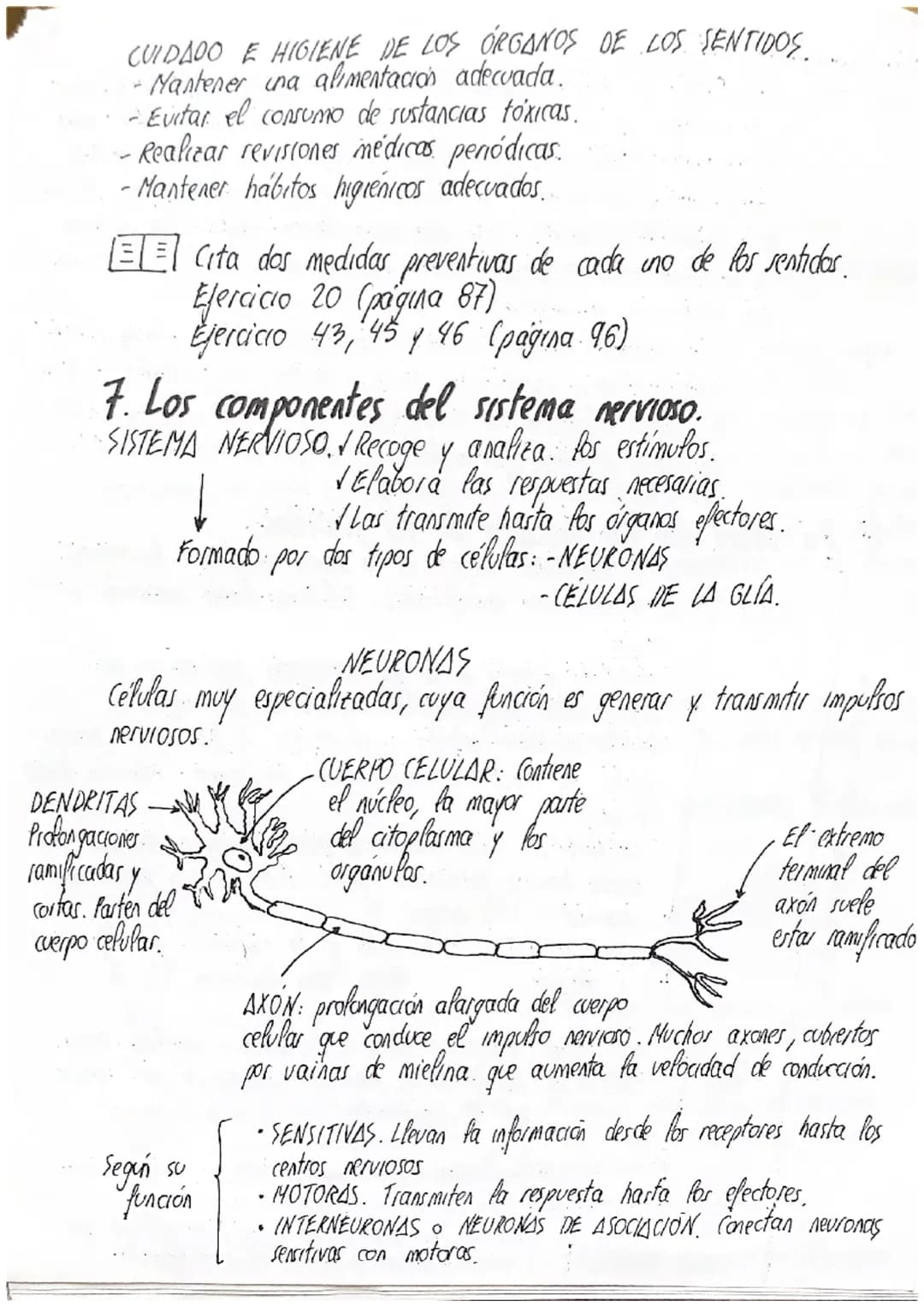 
<p>Los estímulos son las señales que recibe nuestro cuerpo debido a cambios que provienen tanto del interior como del exterior de nuestro c