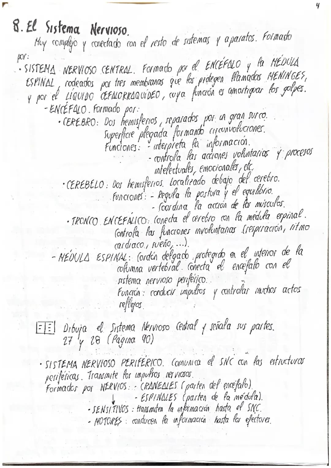 
<p>Los estímulos son las señales que recibe nuestro cuerpo debido a cambios que provienen tanto del interior como del exterior de nuestro c