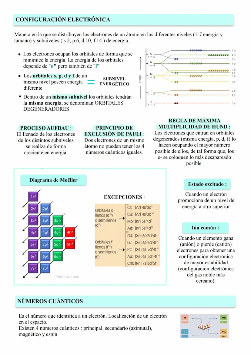 TEMA 1 - ESTRUCTURA ATÓMICA DE LA MATERIA
La estructura atómica determina
ÁTOMO
Número másico
ION→ Cuando un átomo pierde o gana electrones
