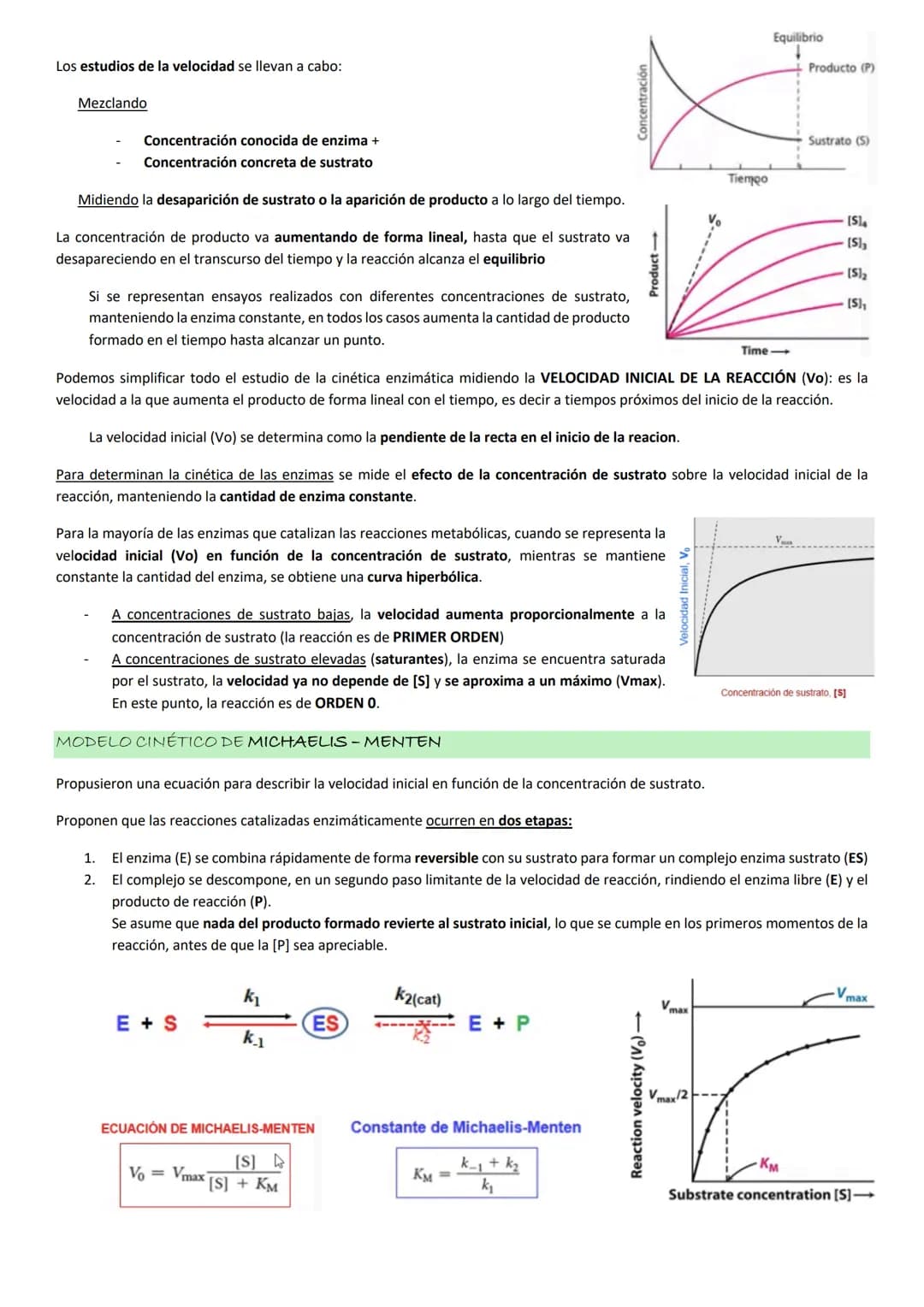 Enzimas
La actividad de una enzima (AEQUORINA) es responsable del resplandor de una medusa
luminiscente: cataliza la oxidación de un compues