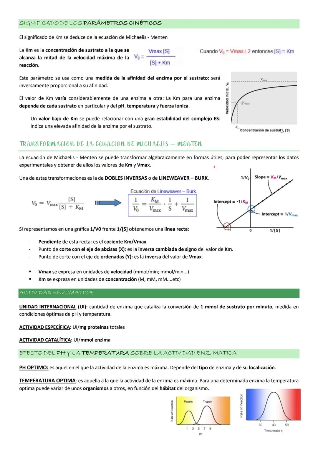Enzimas
La actividad de una enzima (AEQUORINA) es responsable del resplandor de una medusa
luminiscente: cataliza la oxidación de un compues