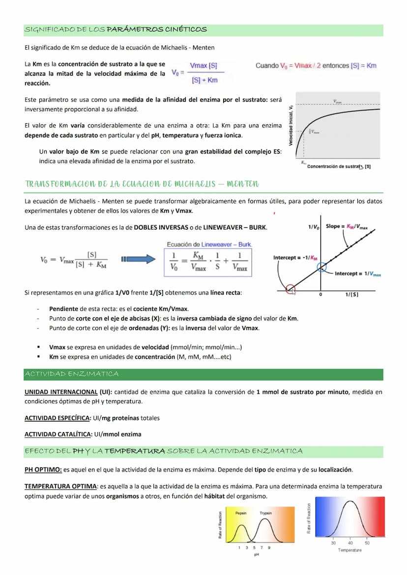 Enzimas
La actividad de una enzima (AEQUORINA) es responsable del resplandor de una medusa
luminiscente: cataliza la oxidación de un compues