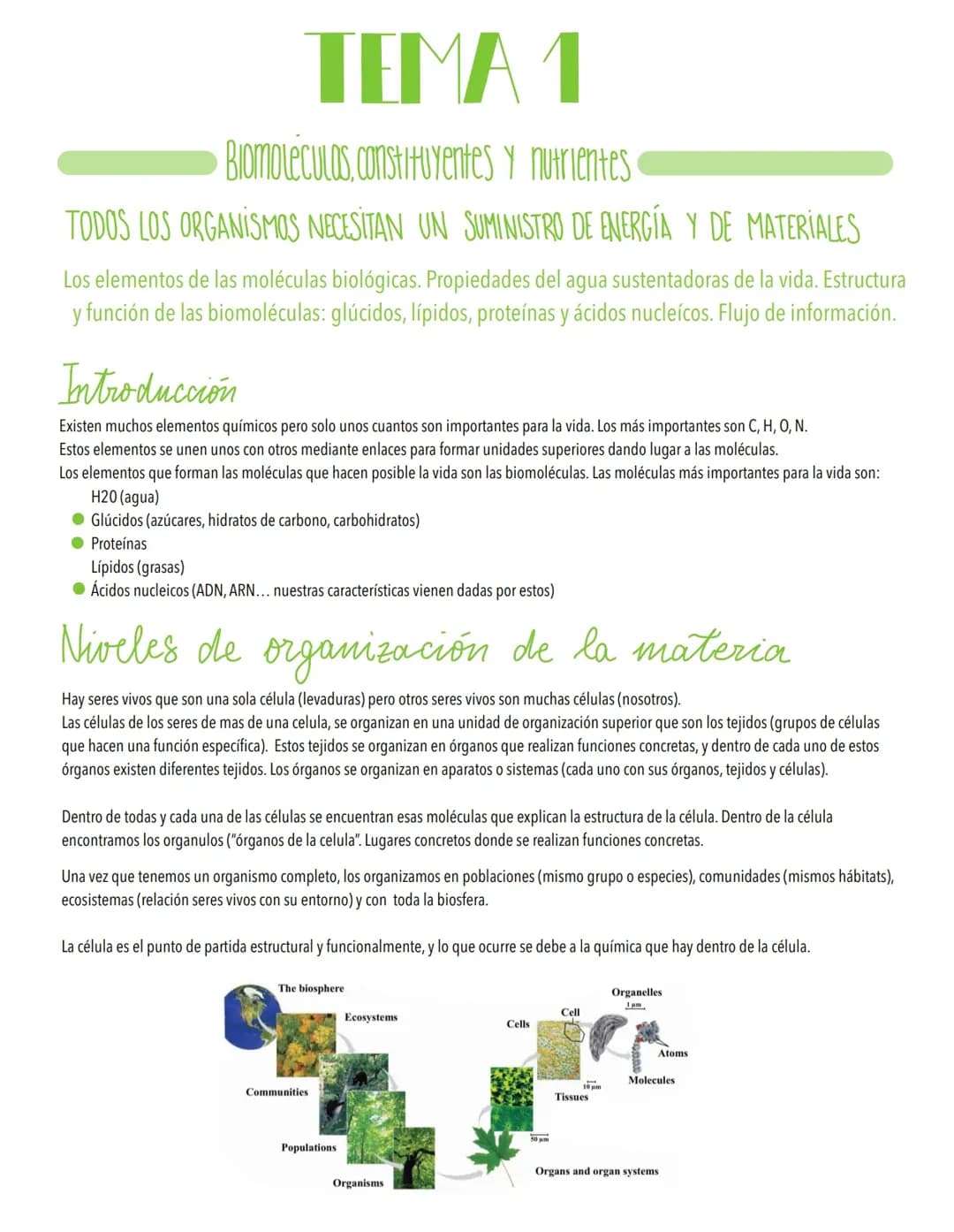 Las biomoleculas, constituyentes y nutrientes