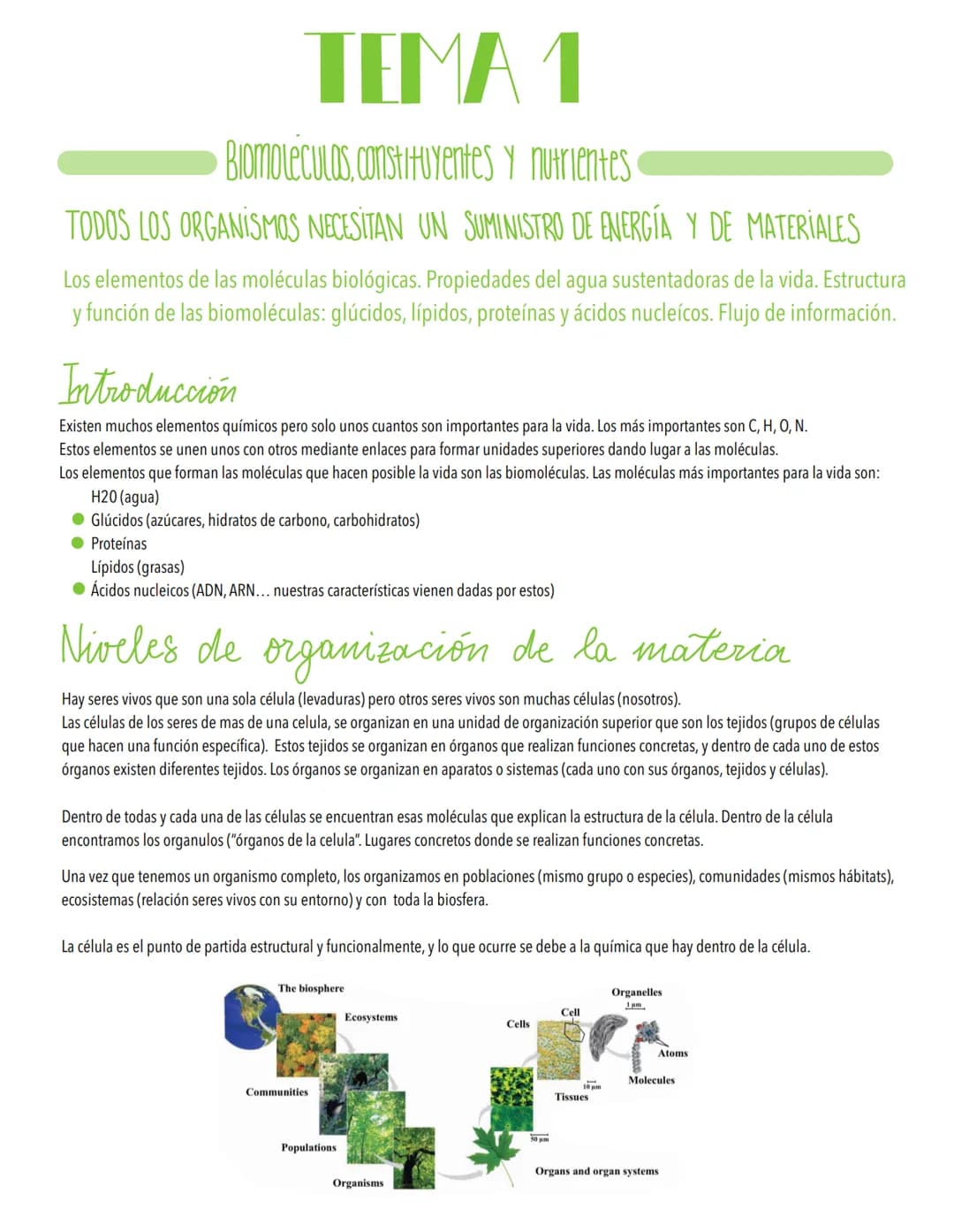 TEMA 1
Biomoleculas, constituyentes y nutrientes
TODOS LOS ORGANISMOS NECESITAN UN SUMINISTRO DE ENERGÍA Y DE MATERIALES
Los elementos de la