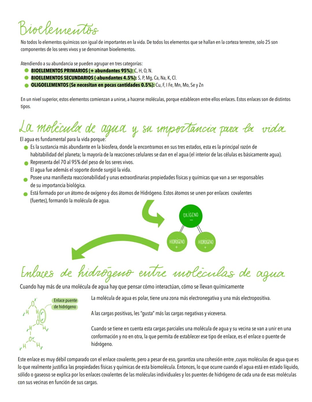 TEMA 1
Biomoleculas, constituyentes y nutrientes
TODOS LOS ORGANISMOS NECESITAN UN SUMINISTRO DE ENERGÍA Y DE MATERIALES
Los elementos de la