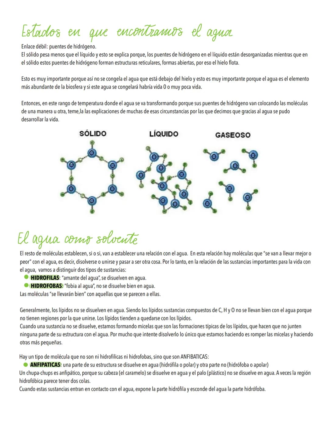 TEMA 1
Biomoleculas, constituyentes y nutrientes
TODOS LOS ORGANISMOS NECESITAN UN SUMINISTRO DE ENERGÍA Y DE MATERIALES
Los elementos de la